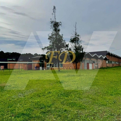 Depósito-Galpão, 14850 m² - Foto 3