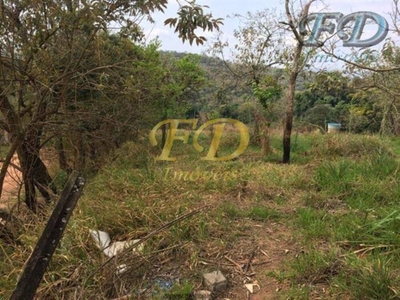 Terreno, 4 hectares - Foto 3