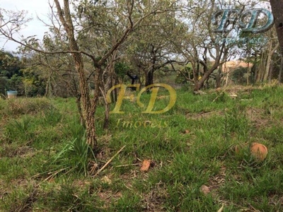 Terreno, 4 hectares - Foto 4