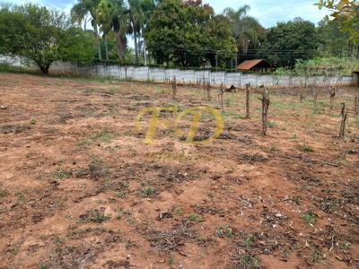 Prédio Inteiro - Foto 2