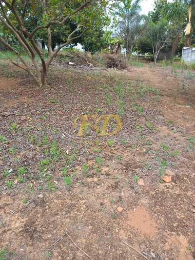 Prédio Inteiro - Foto 3