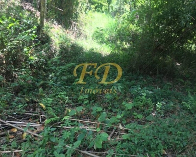 Chácara, 3 quartos, 2500 m² - Foto 2