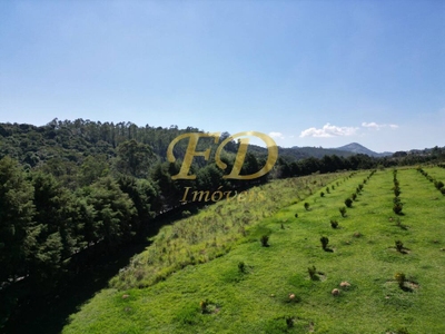 Prédio Inteiro - Foto 5