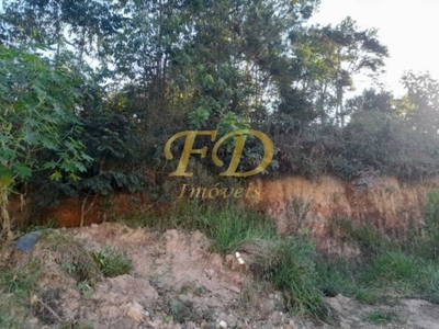 Terreno, 2 hectares - Foto 3