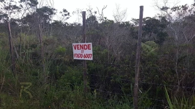 Terreno, 250 m² - Foto 4