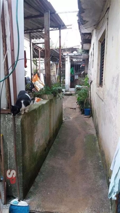 Terreno, 120 m² - Foto 2