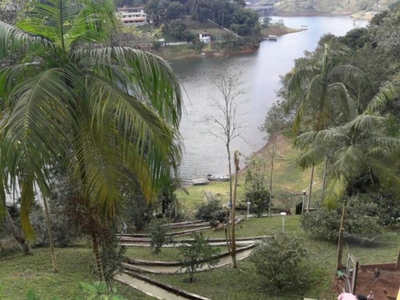 Casa, 6 quartos, 2000 m² - Foto 2