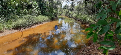 Terreno, 2 hectares - Foto 5