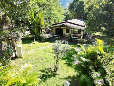 Casa, 4 quartos - Foto 2