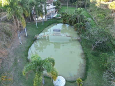 Sítio, 6 quartos, 5700 m² - Foto 2