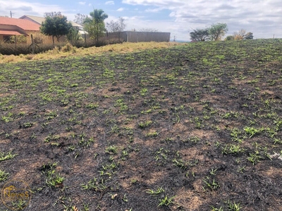 Terreno, 504 m² - Foto 5