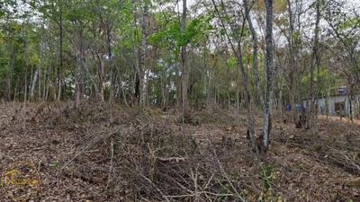 Terreno, 980 m² - Foto 2