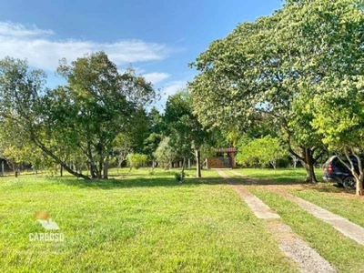 Sítio, 2 hectares - Foto 1