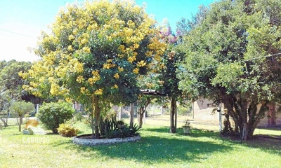 Sítio, 2 quartos, 1818 m² - Foto 4