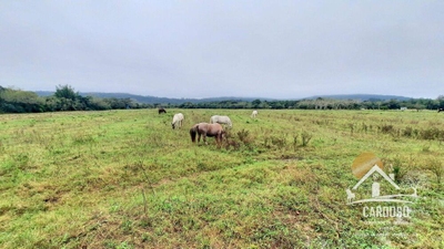 Fazenda-Sítio-Chácara, 24 hectares - Foto 2