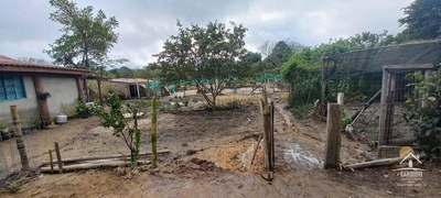 Sítio, 3 quartos, 3000 m² - Foto 4