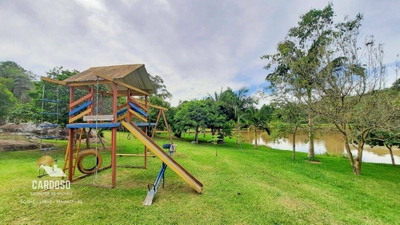 Sítio, 10000 m² - Foto 4