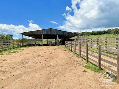 Fazenda-Sítio-Chácara, 107 hectares - Foto 3