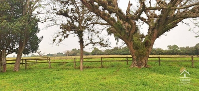 Sítio, 10 hectares - Foto 3