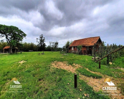 Sítio, 3 quartos, 3 hectares - Foto 1