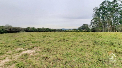 Sítio, 5 hectares - Foto 3