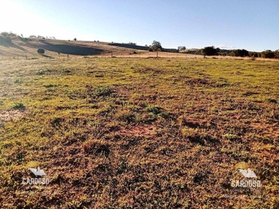 Sítio, 6 hectares - Foto 3