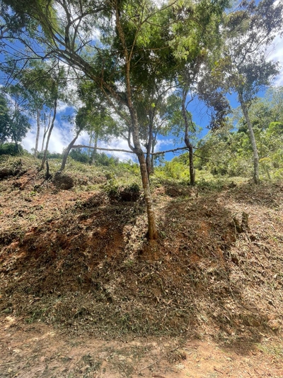 Terreno, 1414 m² - Foto 5