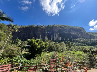 Sítio, 4 quartos, 15000 m² - Foto 3