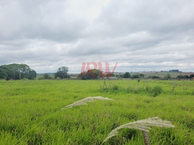 Terreno, 1200 m² - Foto 5