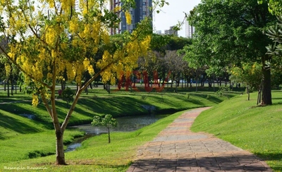 Terreno, 150 m² - Foto 4