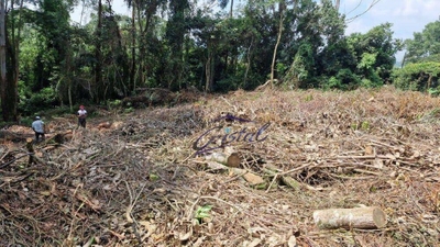 Loteamento e Condomínio, 1405 m² - Foto 4