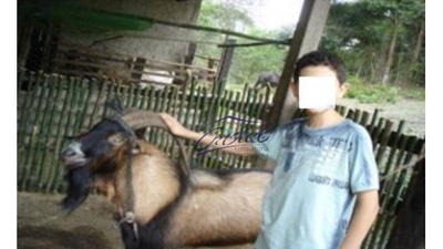 Sítio, 2 quartos, 17 hectares - Foto 3