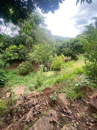 Chácara, 3 quartos, 1800 m² - Foto 4