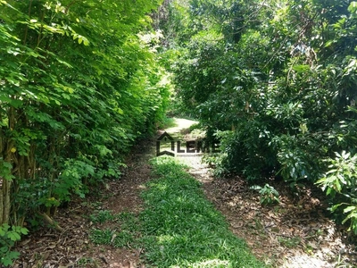 Sítio, 3 quartos, 11 hectares - Foto 3