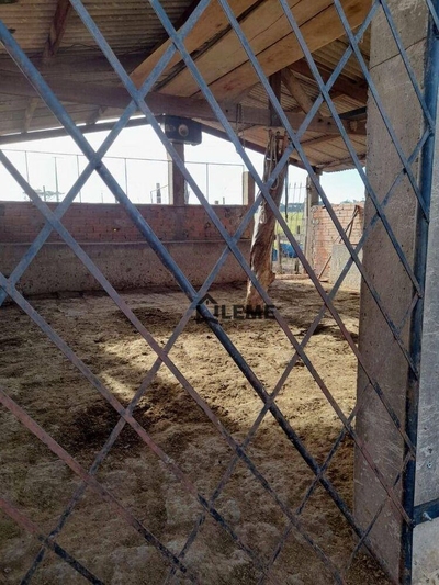 Sítio, 12 hectares - Foto 2