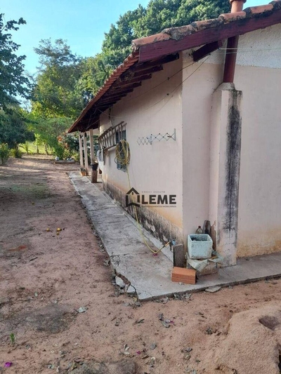 Sítio, 12 hectares - Foto 4