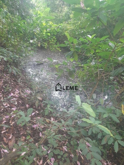 Sítio, 3 hectares - Foto 2