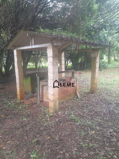 Sítio, 3 hectares - Foto 4