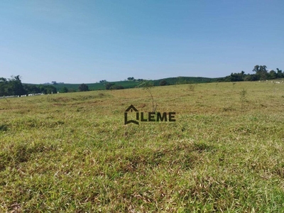 Sítio, 51 hectares - Foto 2