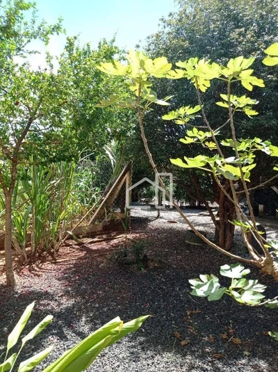 Chácara, 4 quartos, 1000 m² - Foto 2