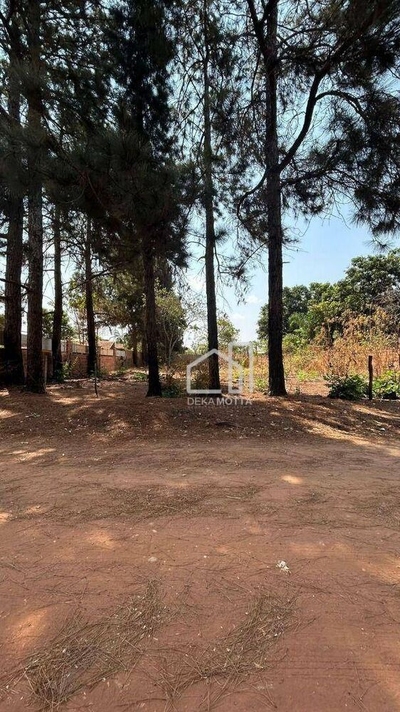 Terreno, 1000 m² - Foto 4