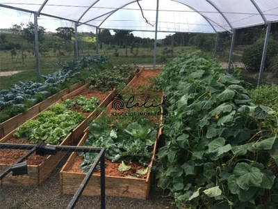 Sítio, 14 quartos, 7 hectares - Foto 5