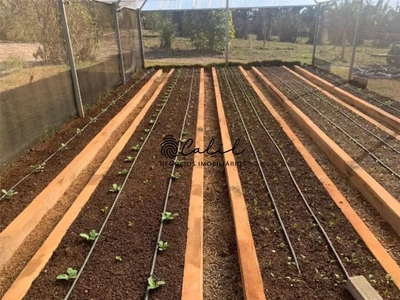 Sítio, 14 quartos, 7 hectares - Foto 5