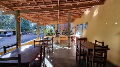 Fazenda-Sítio-Chácara, 10000 m² - Foto 1