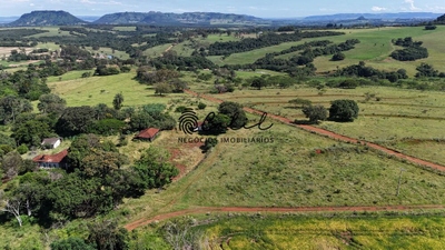 Fazenda-Sítio-Chácara, 75 hectares - Foto 2