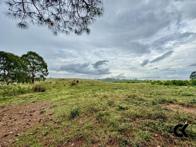 Fazenda-Sítio-Chácara, 40 hectares - Foto 1