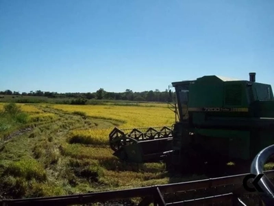 Fazenda, 145 hectares - Foto 1