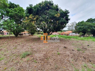 Chácara, 4 quartos, 3508 m² - Foto 4