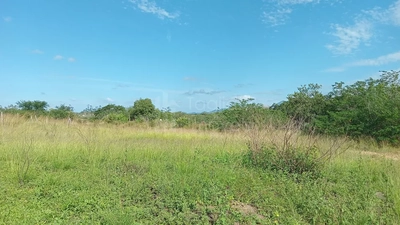 Terreno, 2079 m² - Foto 2