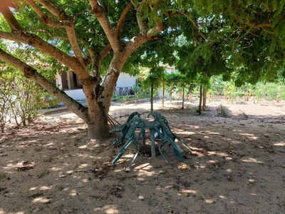 Sítio, 4 quartos, 5500 m² - Foto 3